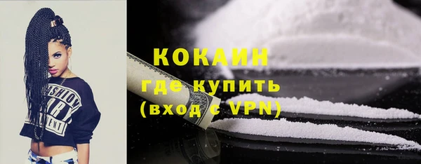 прущие грибы Покровск