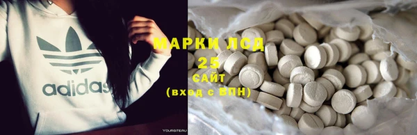 прущие грибы Покровск