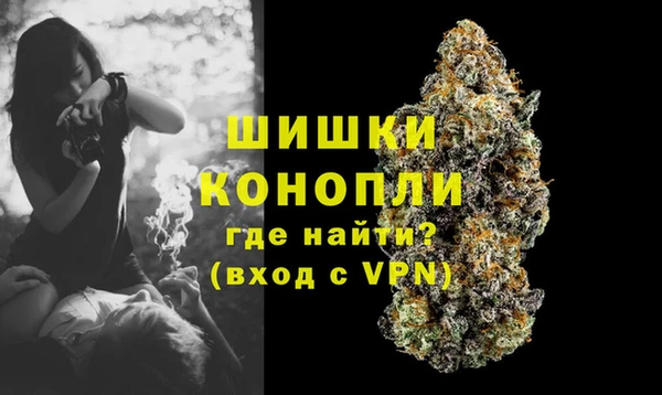 стаф Покачи