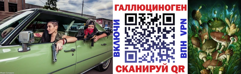 Галлюциногенные грибы мицелий  Купить закладки  Новая Ладога 