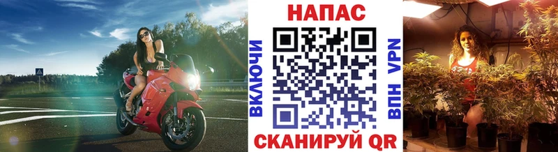 Купить где  Новая Ладога  Бошки марихуана гибрид 